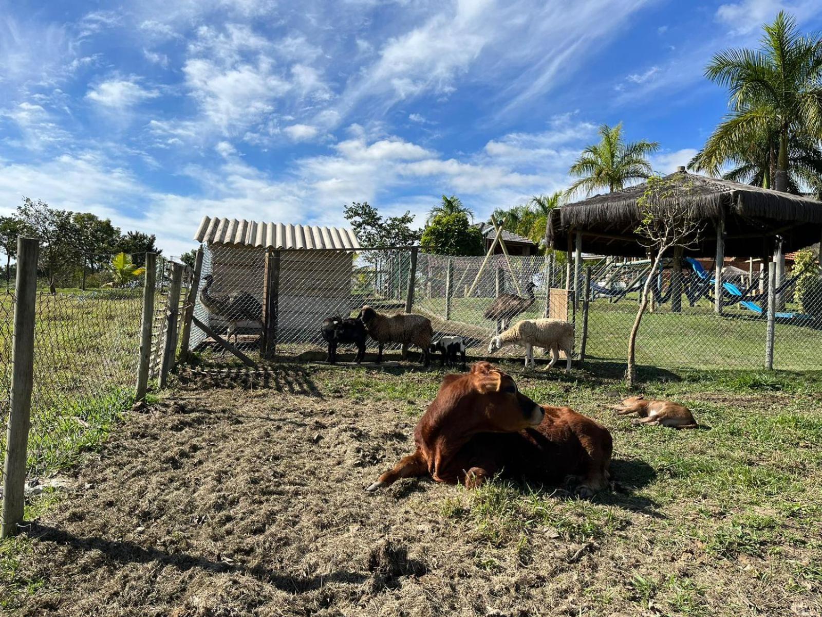 La Palma Hotel Fazenda Индаятуба Экстерьер фото